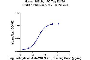 ELISA image for Mesothelin (MSLN) (AA 296-580) protein (Fc Tag) (ABIN7275283)