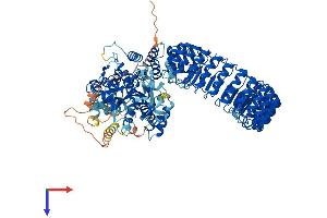 NLR Family, CARD Domain Containing 3 (NLRC3) (AA 1-1064) protein (His tag)