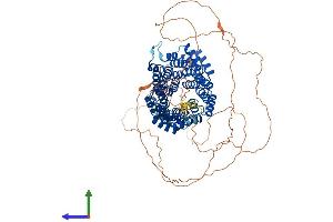 AlphaFold protein structure predicition of Human Recombinant CDC27 Protein, UniprotID P30260 (CDC27 Protein (AA 1-824) (His tag))