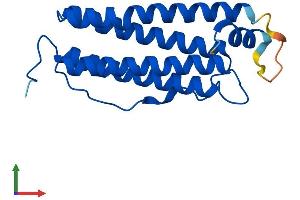 Protein Structure (PS) image for Ferritin Light Chain 2 (FTL2) (AA 1-183) protein (His tag) (ABIN7563351)