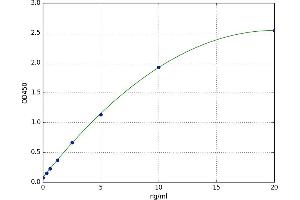 SRY (Sex Determining Region Y)-Box 2 (SOX2) ELISA Kit