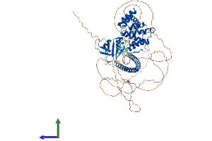 AlphaFold protein structure predicition of Human Recombinant ARHGAP24 Protein, UniprotID Q8N264 (ARHGAP24 Protein (AA 1-748) (His tag))