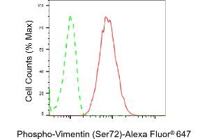 Flow cytometric analysis of Phospho-Vimentin (Ser72) expression in HT- cells using Phospho-Vimentin (Ser72) antibody (ABIN7800835), 1:2,000).