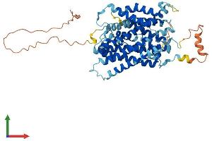 AlphaFold protein structure predicition of Mouse Recombinant Slc38a3 Protein, UniprotID Q9DCP2 (SLC38A3 Protein (AA 1-505) (His tag))