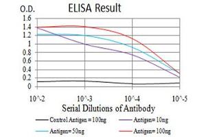 Black line: Control Antigen (100 ng),Purple line: Antigen (10 ng), Blue line: Antigen (50 ng), Red line:Antigen (100 ng) (NLRC4 antibody  (pSer533))