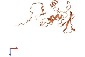 AlphaFold protein structure predicition of Human Recombinant LINC00696 Protein, UniprotID Q6ZRV3 (LINC00696/C3orf74 Protein (AA 1-163) (His tag))