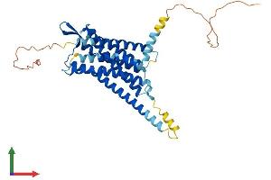 Protein Structure (PS) image for Oxytocin Receptor (OXTR) (AA 1-388) protein (His tag) (ABIN7556839)