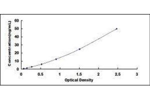 Typical standard curve (Adiponectin Receptor 2 ELISA Kit)