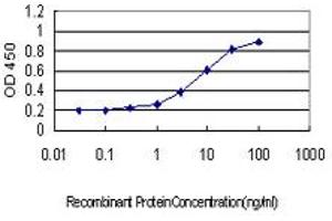 Detection limit for recombinant GST tagged ATP2B1 is approximately 0. (ATP2B1 antibody  (AA 1-97))
