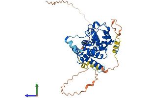 AlphaFold protein structure predicition of Human Recombinant ELMOD3 Protein, UniprotID Q96FG2