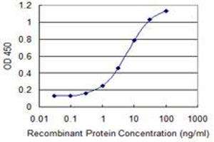 Detection limit for recombinant GST tagged COMMD3 is 0. (COMMD3 antibody  (AA 1-195))