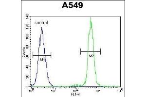 Flow Cytometry (FACS) image for anti-Transcription Factor 3 (E2A Immunoglobulin Enhancer Binding Factors E12/E47) (TCF3) (AA 506-534), (C-Term) antibody (ABIN657912)