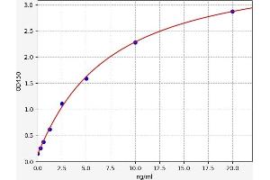 Typical standard curve (ASK1 ELISA Kit)