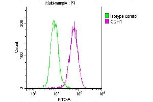 Overlay histogram showing MCF-7 cells stained with ABIN7146194 (red line) at 1:100. (E-cadherin antibody  (AA 155-707))