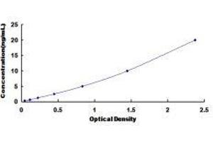 ELISA image for Transforming Growth Factor, beta Receptor II (70/80kDa) (TGFBR2) ELISA Kit (ABIN426181)