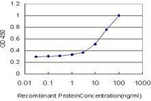 Detection limit for recombinant GST tagged PHF5A is approximately 1ng/ml as a capture antibody. (PHF5A antibody  (AA 1-110))