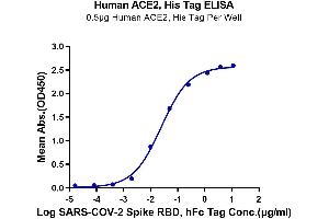 Immobilized Human ACE2, His Tag at 5 μg/mL (100 μL/well) on the plate. (ACE2 Protein (His-Avi Tag))