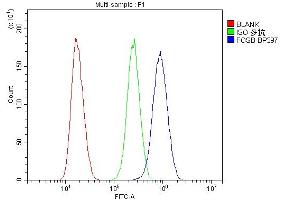 anti-FBJ Murine Osteosarcoma Viral Oncogene Homolog B (FOSB) (AA 264-291), (C-Term) antibody