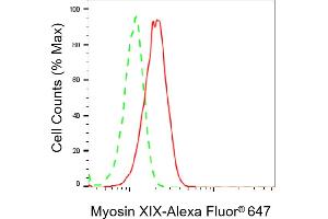 Flow cytometric analysis of Myosin XIX expression in HepG2 cells using Myosin XIX antibody (ABIN7799525), 1:2,000). (Recombinant Myosin XIX antibody)
