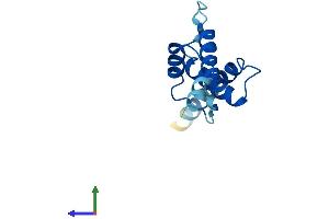 AlphaFold protein structure predicition of Human Recombinant CDKN2AIPNL Protein, UniprotID Q96HQ2