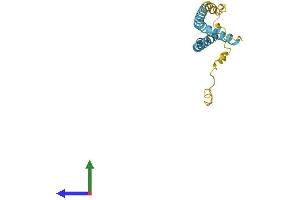 AlphaFold protein structure predicition of Mouse Recombinant Tmem88b Protein, UniprotID Q3TYP4 (TMEM88B Protein (AA 1-173) (His tag))