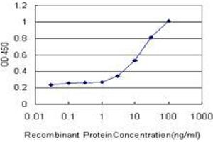 Detection limit for recombinant GST tagged PHF5A is approximately 1ng/ml as a capture antibody. (PHF5A antibody  (AA 1-110))