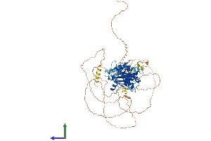 Protein Structure (PS) image for NUAK Family, SNF1-Like Kinase, 2 (NUAK2) (AA 1-639) protein (His tag) (ABIN7559051)