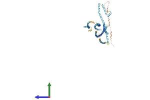 AlphaFold protein structure predicition of Mouse Recombinant Ccdc39 Protein, UniprotID Q9D5Y1 (CCDC39 Protein (AA 1-937) (His tag))