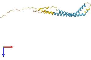 AlphaFold protein structure predicition of Mouse Recombinant Tmem88b Protein, UniprotID Q3TYP4 (TMEM88B Protein (AA 1-173) (His tag))