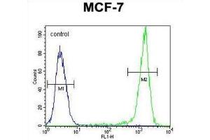 Flow Cytometry (FACS) image for anti-Sphingomyelin Synthase 2 (SGMS2) antibody (ABIN3004329) (Sphingomyelin Synthase 2 antibody)