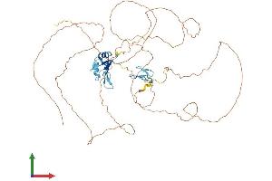 AlphaFold protein structure predicition of Human Recombinant TAF15 Protein, UniprotID Q92804 (TAF15 Protein (AA 1-592) (His tag))