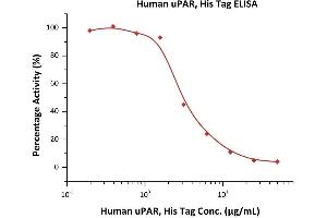Measured by its inhibitory ability in a competitive ELISA. (PLAUR Protein (AA 23-303) (His tag))