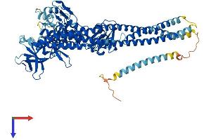 TBK1 Protein (AA 1-729) (His tag)