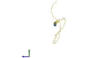 AlphaFold protein structure predicition of Human Recombinant HRCT1 Protein, UniprotID Q6UXD1 (HRCT1 Protein (AA 1-115) (His tag))