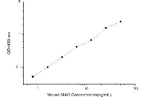 MAO ELISA Kit