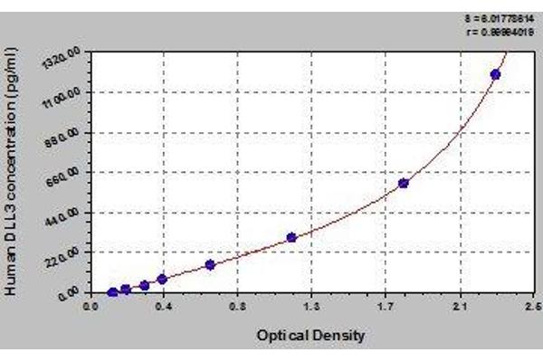 DLL3 ELISA Kit