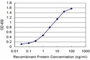 Detection limit for recombinant GST tagged MDH2 is approximately 0. (MDH2 antibody  (AA 134-246))
