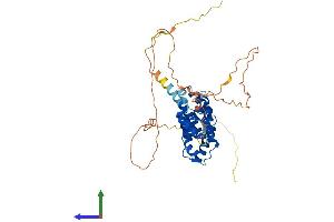 AlphaFold protein structure predicition of Mouse Recombinant Prr5 Protein, UniprotID Q812A5