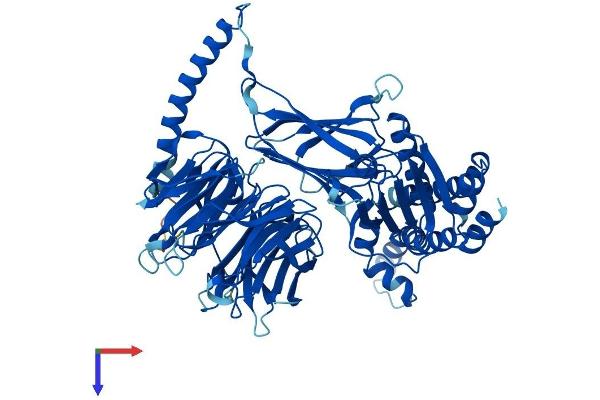 BBS7 Protein (AA 1-715) (His tag)