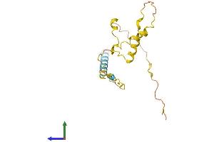 AlphaFold protein structure predicition of Human Recombinant CCDC140 Protein, UniprotID Q96MF4 (CCDC140 Protein (AA 1-163) (His tag))