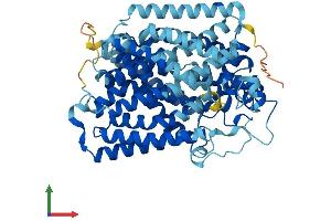 AlphaFold protein structure predicition of Human Recombinant SLC5A10 Protein, UniprotID A0PJK1 (SLC5A10 Protein (AA 1-596) (His tag))