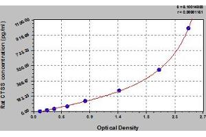 Typical Standard Curve (Cathepsin S ELISA Kit)