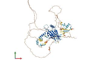 AlphaFold protein structure predicition of Human Recombinant GRHL3 Protein, UniprotID Q8TE85