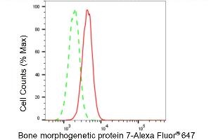 Flow cytometric analysis of Bone morphogenetic protein 7 expression in H9c2 cells using Bone morphogenetic protein 7 antibody (ABIN7797777), 1:2,000). (Recombinant BMP7 antibody)