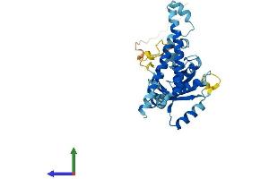 AlphaFold protein structure predicition of Mouse Recombinant Psmd14 Protein, UniprotID O35593