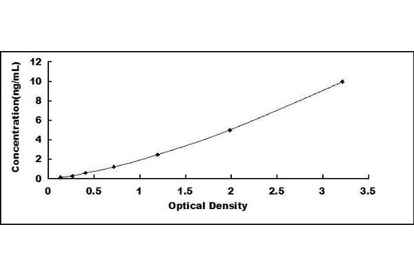 Uromodulin ELISA Kit