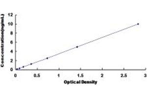 Typical standard curve (Calsyntenin 2 ELISA Kit)