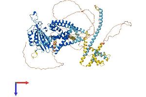 AlphaFold protein structure predicition of Mouse Recombinant Pkd2 Protein, UniprotID O35245 (PKD2 Protein (AA 1-966) (His tag))