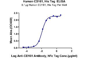 ELISA image for Killer Cell Lectin-Like Receptor Subfamily B, Member 1 (KLRB1) (AA 67-225) protein (His tag) (ABIN7274068)