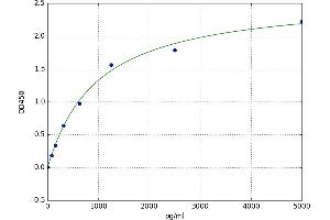 Insulin Receptor (INSR) ELISA Kit